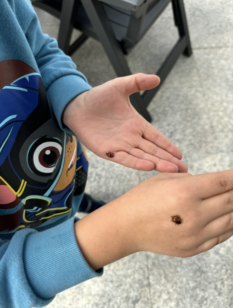Doppeltes Glück 🐞