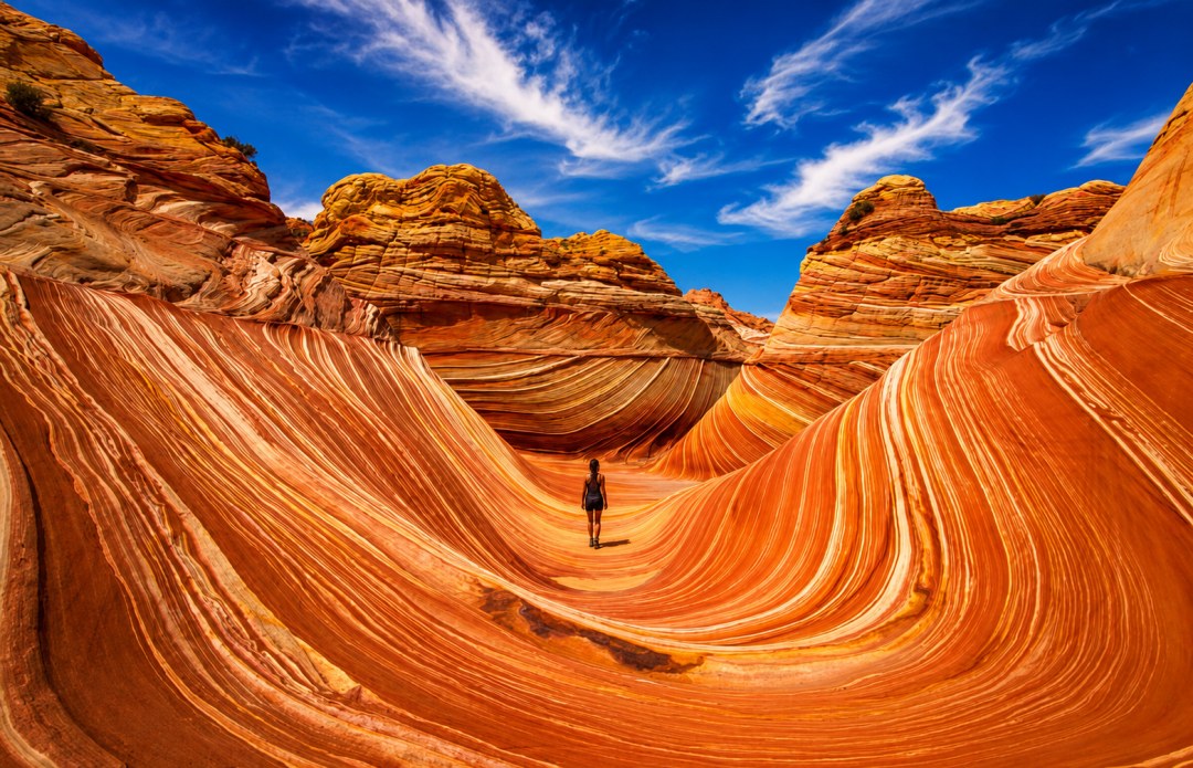 The Wave - 190 Millionen Jahre. Ein Moment.