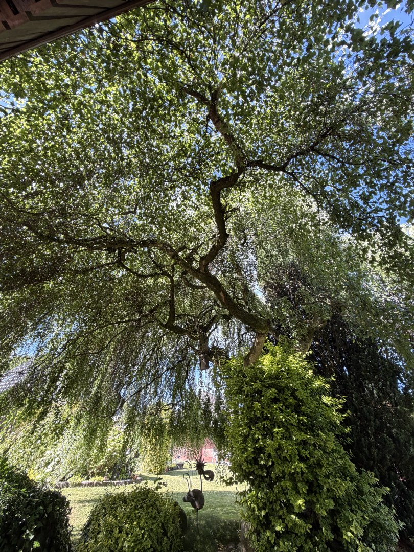 Natur pur, einfach wunderschön