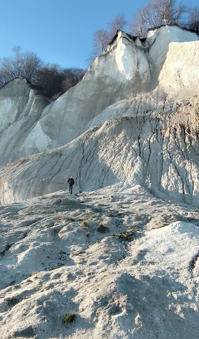 Kreidefelsen Möns-Klint