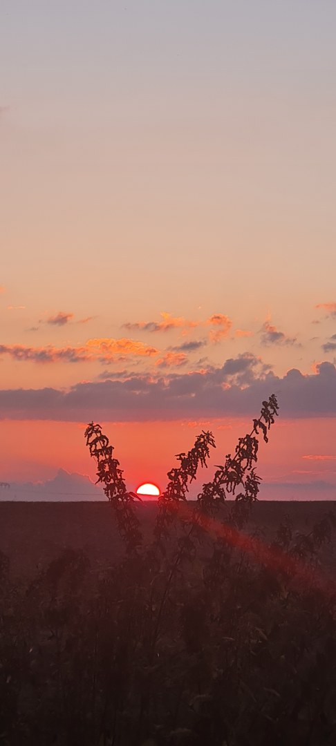 Der Himmel brennt