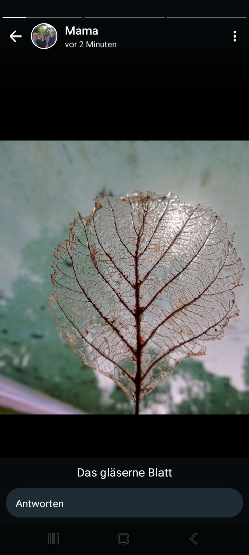 Das Gläserne-Blatt