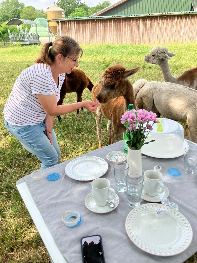 Gewinnerfoto: Frühstücken mit den Alpakas