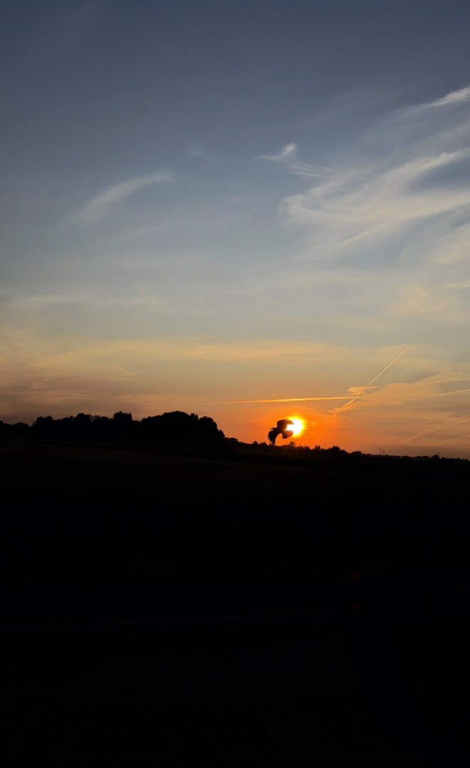 Wenn der Sonnenaufgang Flügel bekommt