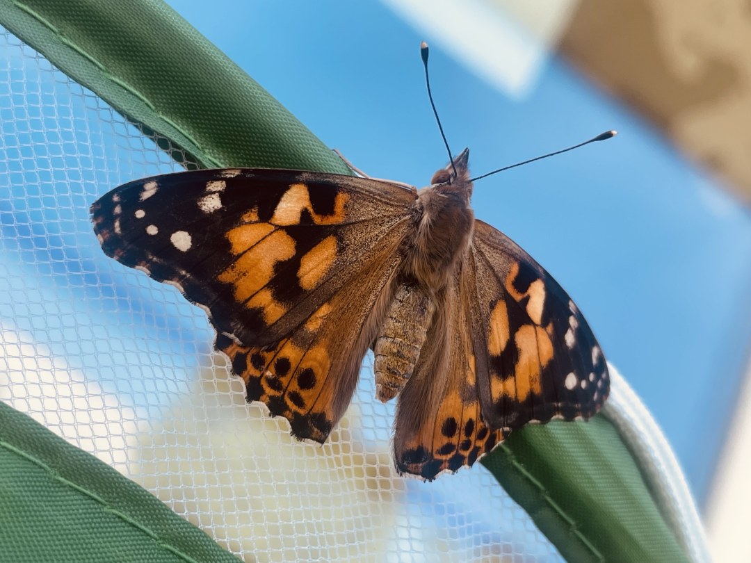 Neuanfang